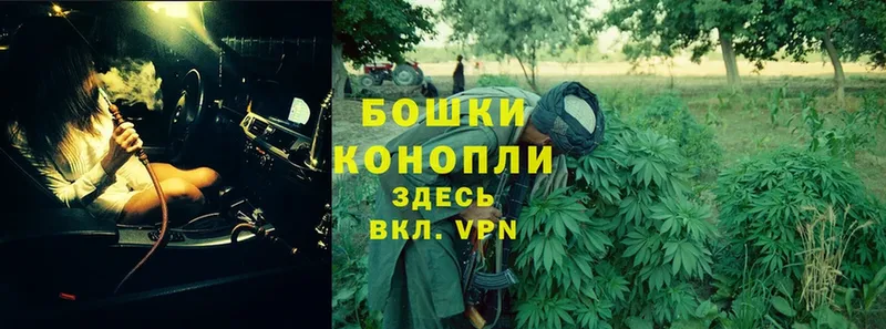 Бошки марихуана SATIVA & INDICA  Галич 